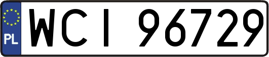 WCI96729