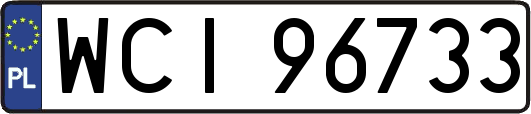 WCI96733