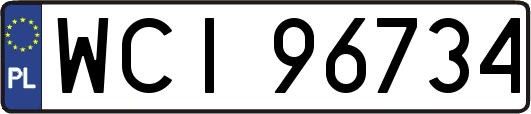 WCI96734