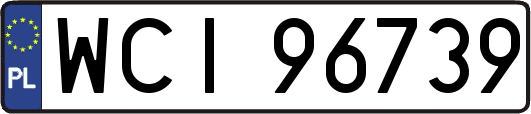 WCI96739