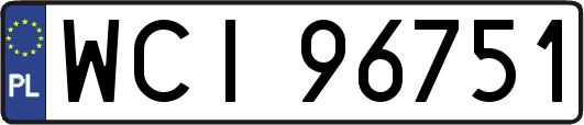 WCI96751