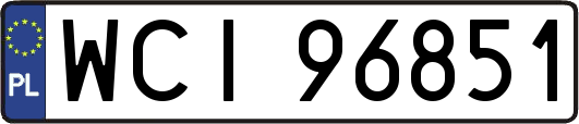 WCI96851