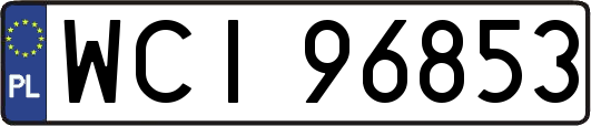 WCI96853