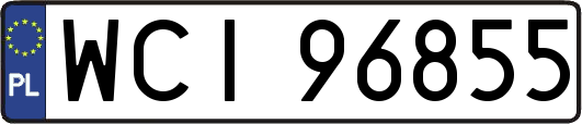 WCI96855