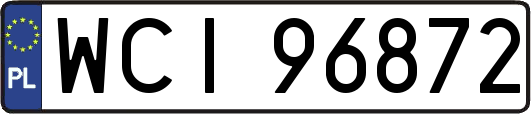 WCI96872