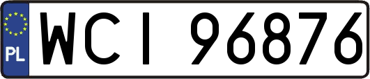 WCI96876