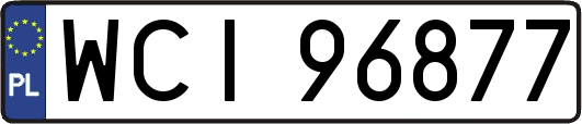 WCI96877