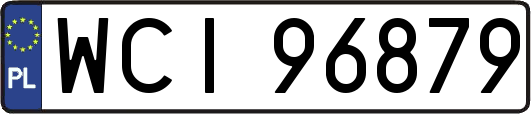 WCI96879