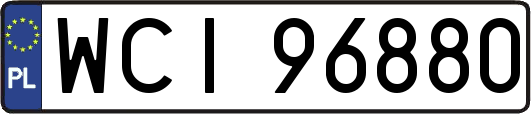 WCI96880
