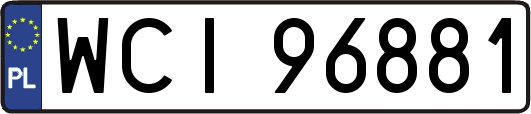 WCI96881