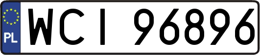 WCI96896