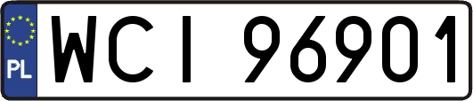 WCI96901