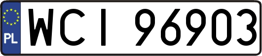 WCI96903