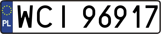 WCI96917