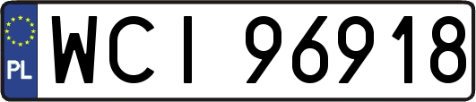 WCI96918