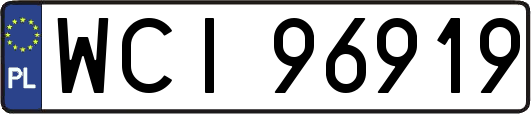 WCI96919