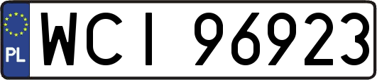 WCI96923