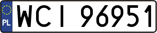 WCI96951