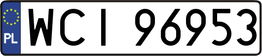 WCI96953