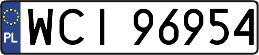 WCI96954