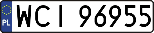 WCI96955
