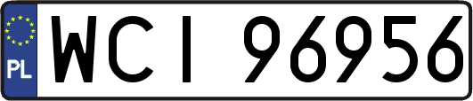 WCI96956