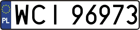 WCI96973