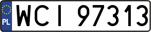 WCI97313