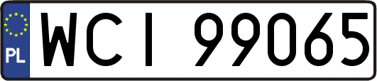 WCI99065