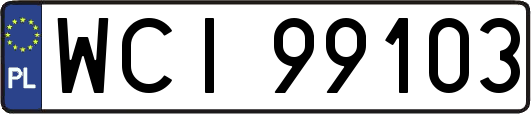 WCI99103