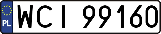 WCI99160