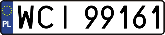 WCI99161