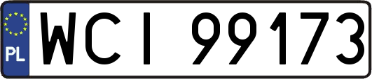 WCI99173