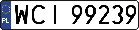 WCI99239