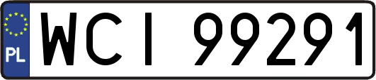 WCI99291