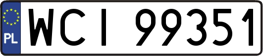 WCI99351