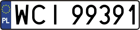WCI99391