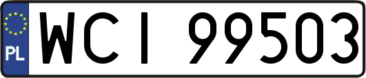 WCI99503