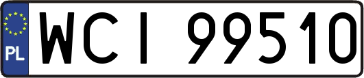 WCI99510