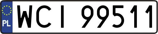 WCI99511