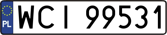 WCI99531