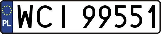 WCI99551