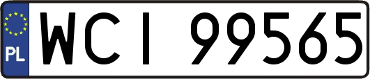 WCI99565