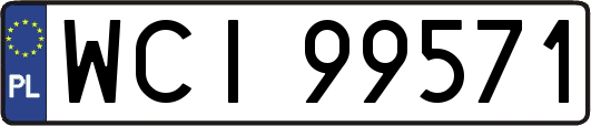 WCI99571