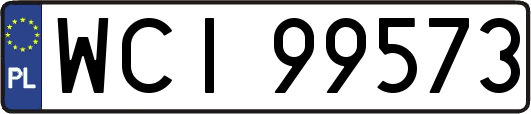 WCI99573