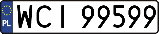 WCI99599