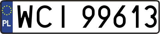 WCI99613