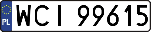 WCI99615