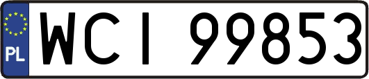 WCI99853