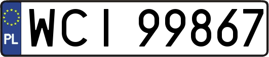 WCI99867